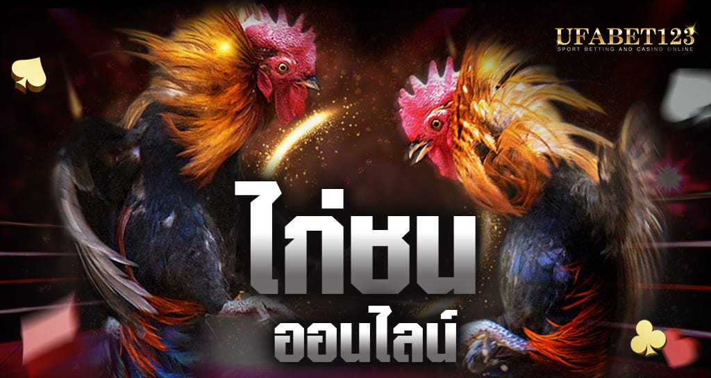 เล่นไก่ให้ได้เงิน